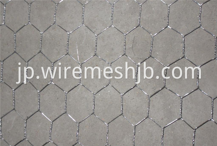 1'' Hexagonal Wire Netting